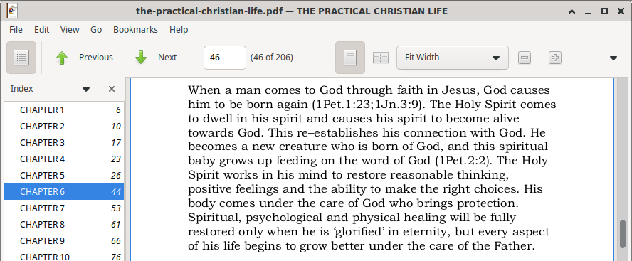 Excerpt from The Practical Christian Life