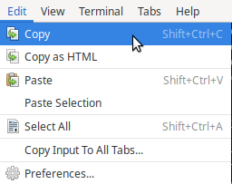 Copy or Shift+Ctrl+C