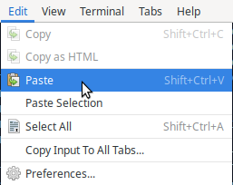 Paste or Shift+Ctrl+V